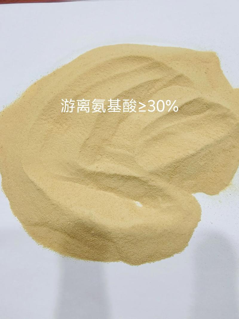 氨基酸供应商选购指南